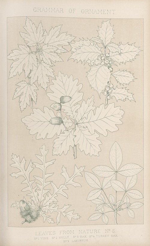 Leaves from Nature No. 5