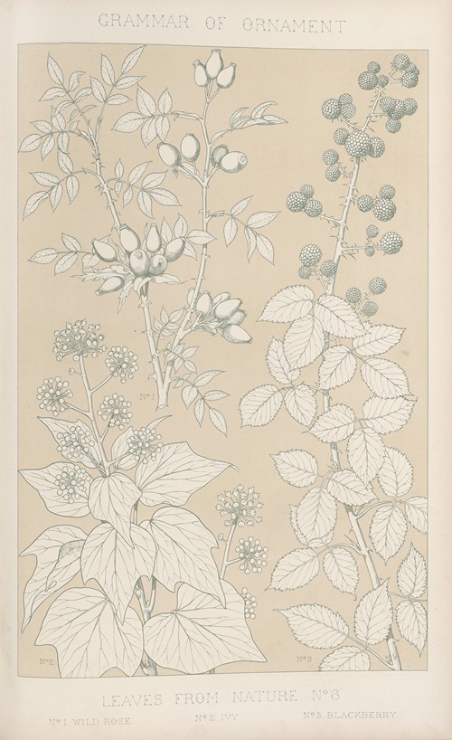 Leaves from Nature No. 6