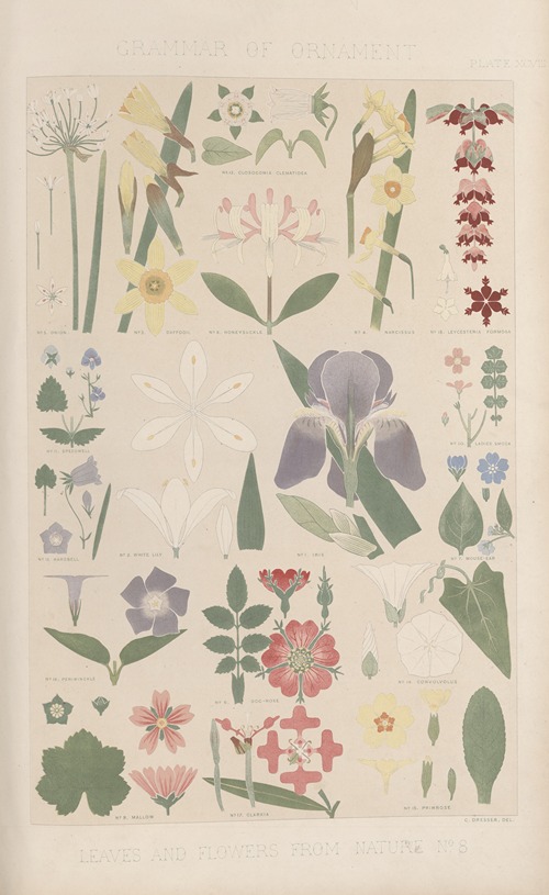 Leaves from Nature No. 8