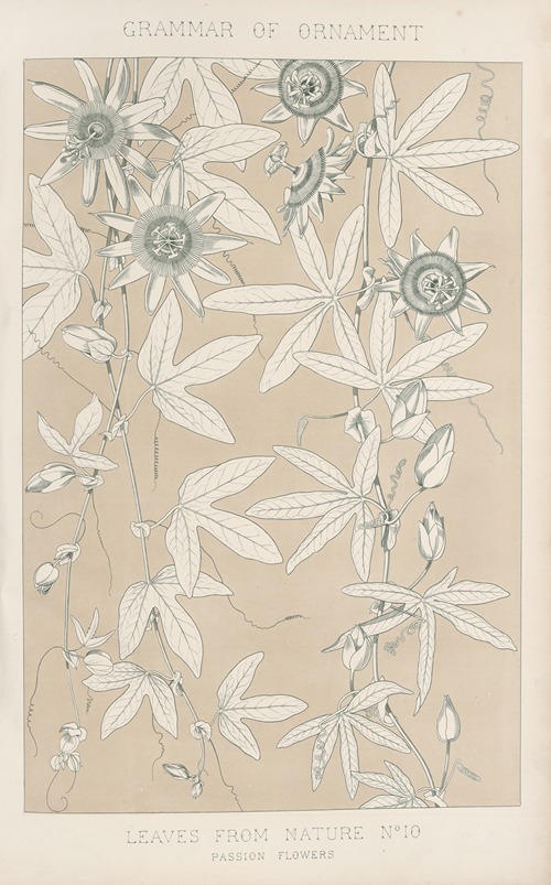 Leaves from Nature No. 10
