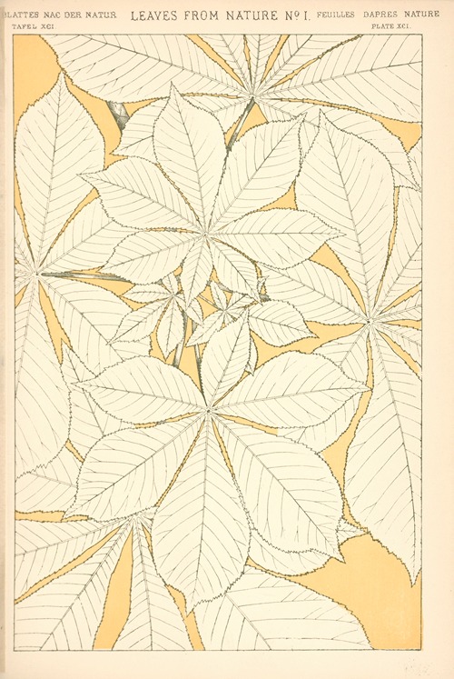 Leaves from Nature No. 1