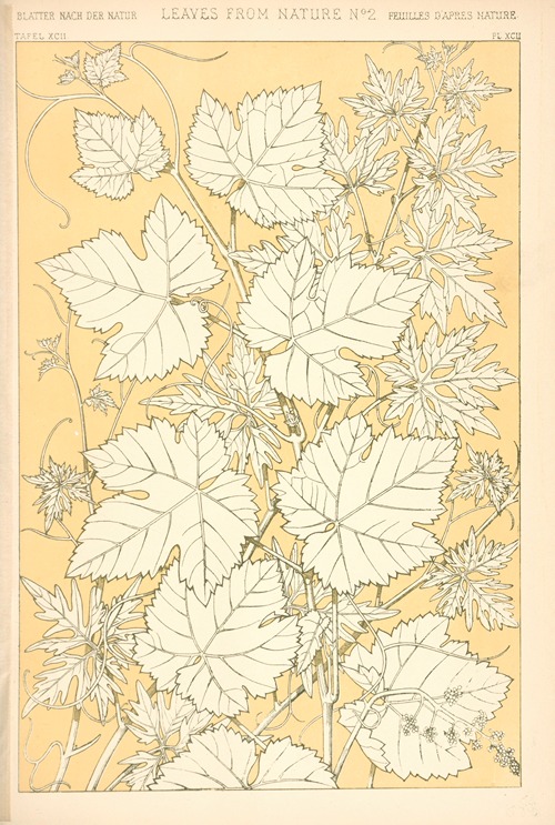 Leaves from Nature No. 2