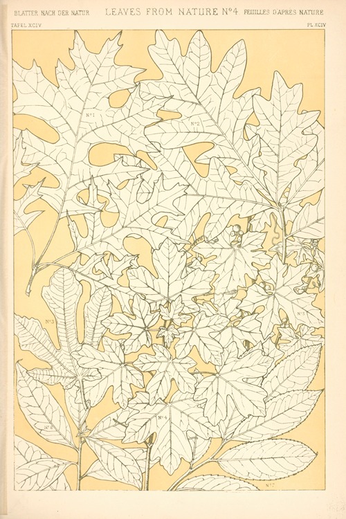 Leaves from Nature No. 4