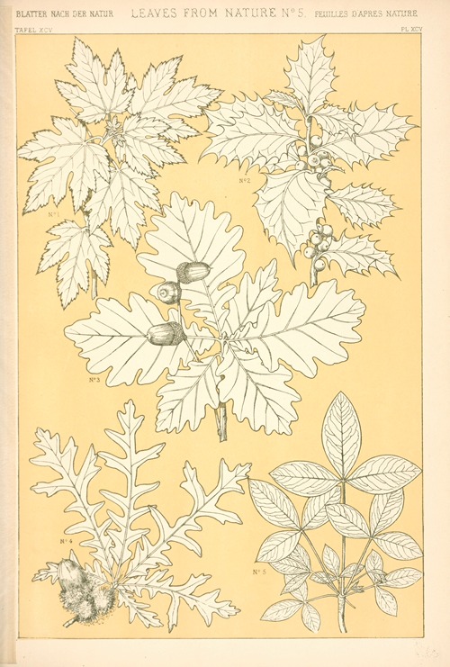 Leaves from Nature No. 5