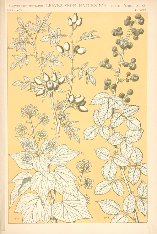 Leaves from Nature No. 6
