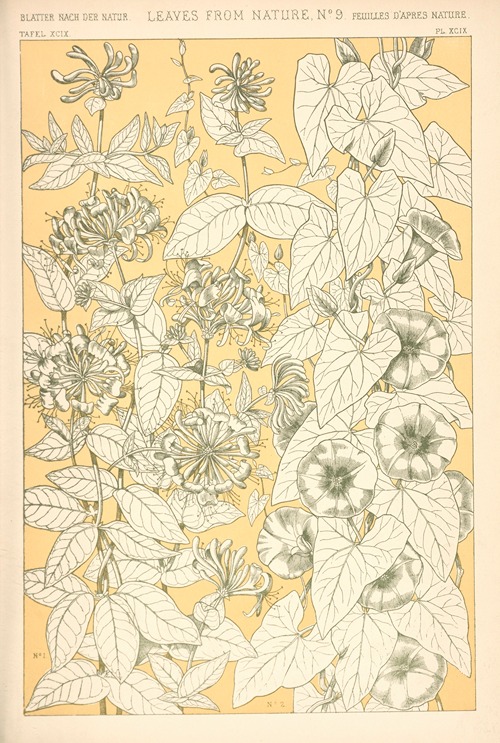 Leaves from Nature No. 9