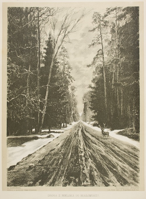 Droga z Bielska do Białowieży