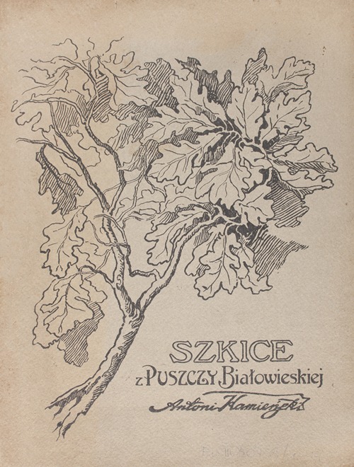 Szkice z puszczy białowieskiej – Title page