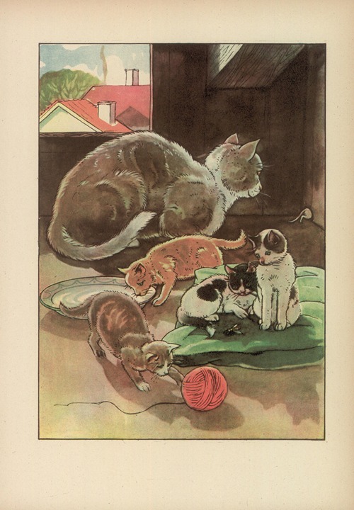 Czy już znacie? Pl.11