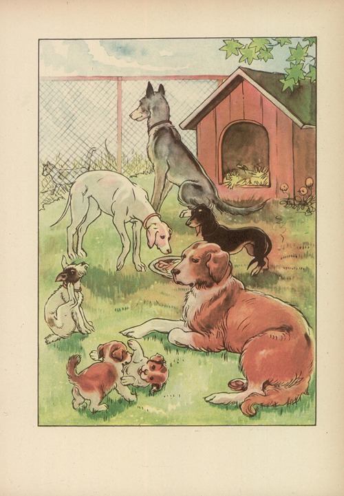Czy już znacie? Pl.12