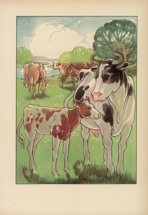 Czy już znacie? Pl.14