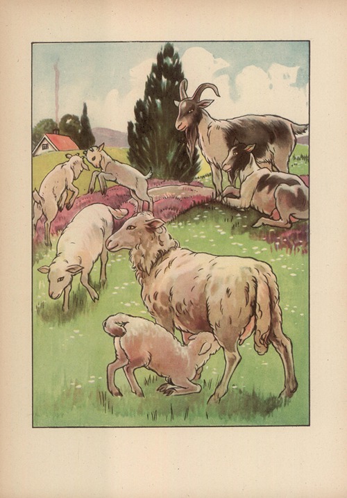 Czy już znacie? Pl.15