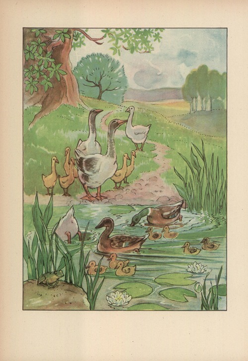 Czy już znacie? Pl.17