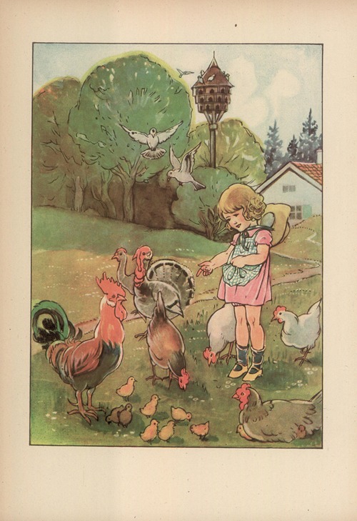 Czy już znacie? Pl.18