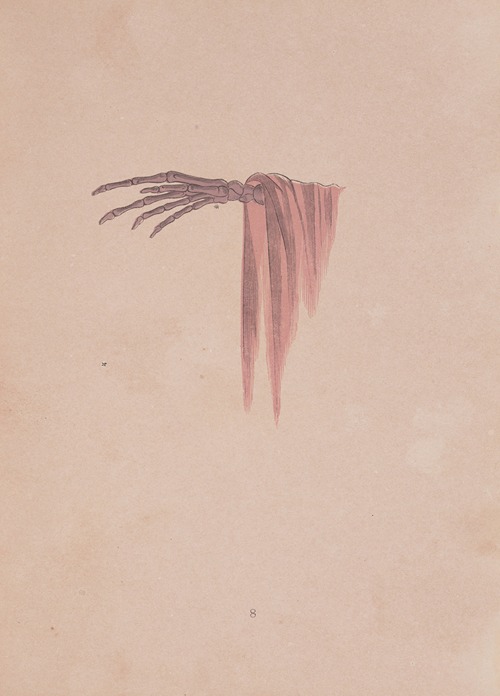 Spectropia; or, Surprising spectral illusions; Showing ghosts everywhere, and of any colour Pl.09