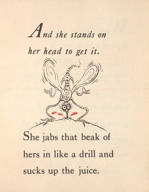 This is Ann; she’s dying to meet you Pl.11