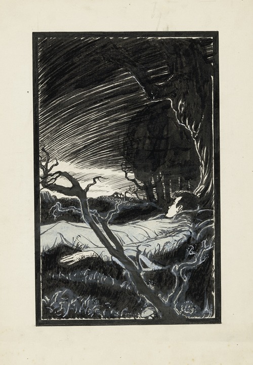 Willem slaapt in een landschap bij nacht
