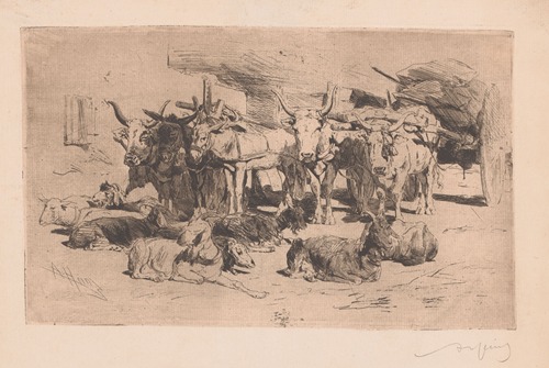 Wagens bespannen met ossen en muildieren