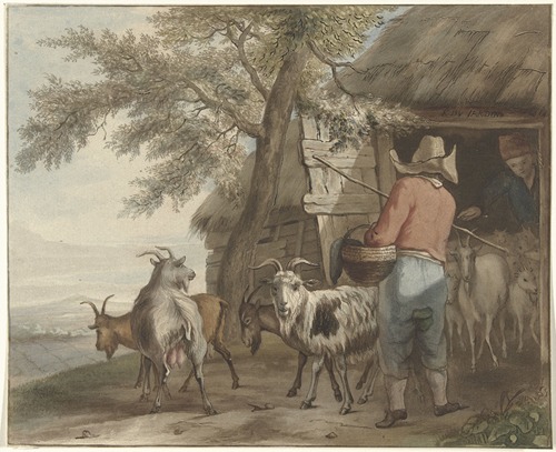 Geitenhoeder bij schuur