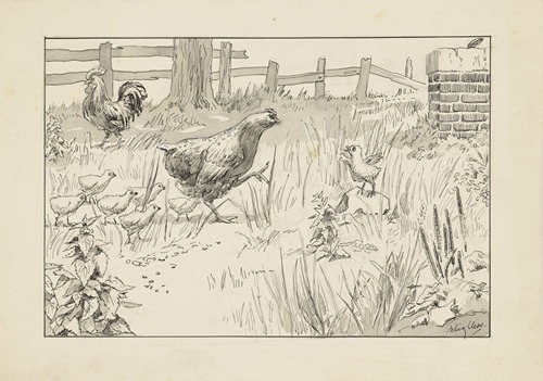 Kip en kuikens in een omheind veld