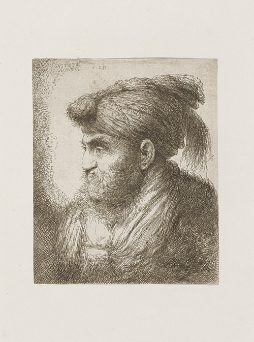 Man with Beard and Mustache, Wearing a Tasseled Headdress