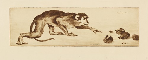 Monkey and Chestnuts