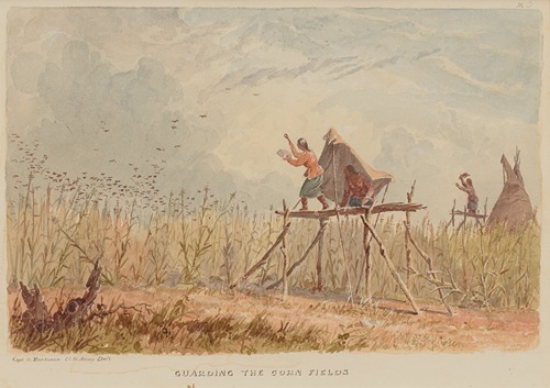 Guarding the Corn Fields