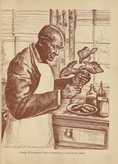 Our Negro Brother Pl.07