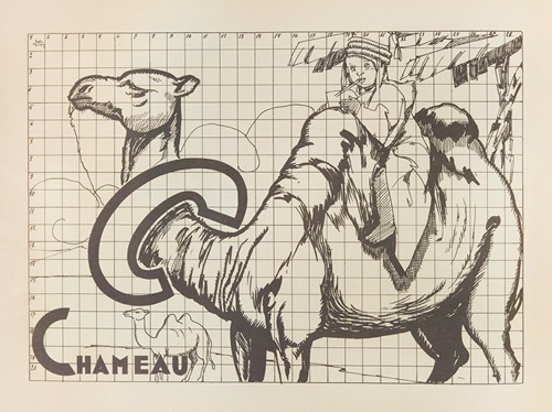 Chameau
