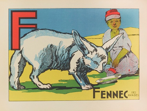 Fennec des Arabes