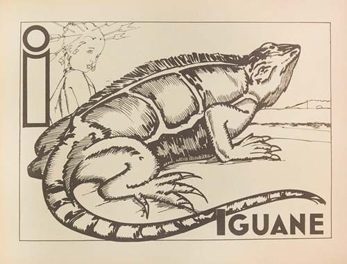 Iguane