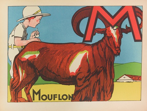 Mouflon