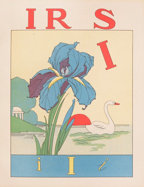 Iris