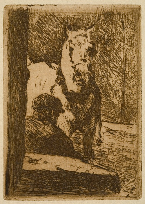 Man, Seen from the Back, and Horse