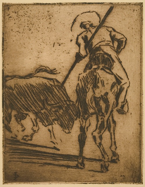 Picador