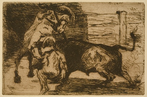 Picador