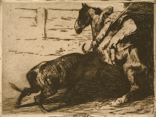 Picador