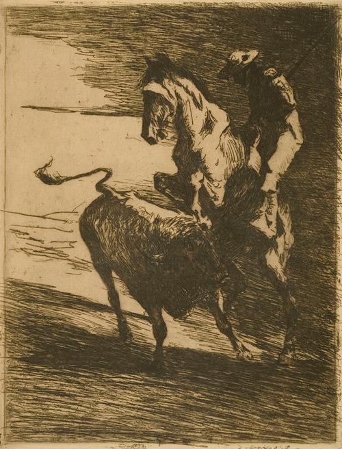Picador
