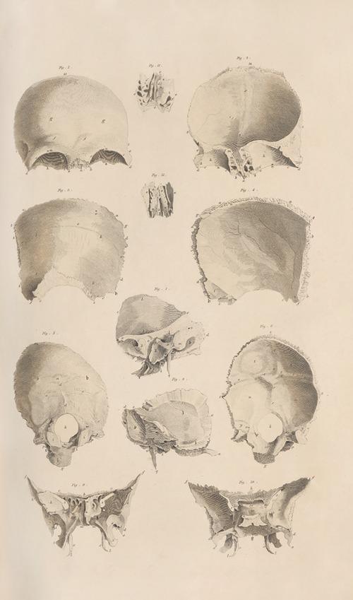 A system of anatomical plates of the human body Pl.005