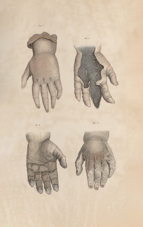 A system of anatomical plates of the human body Pl.085