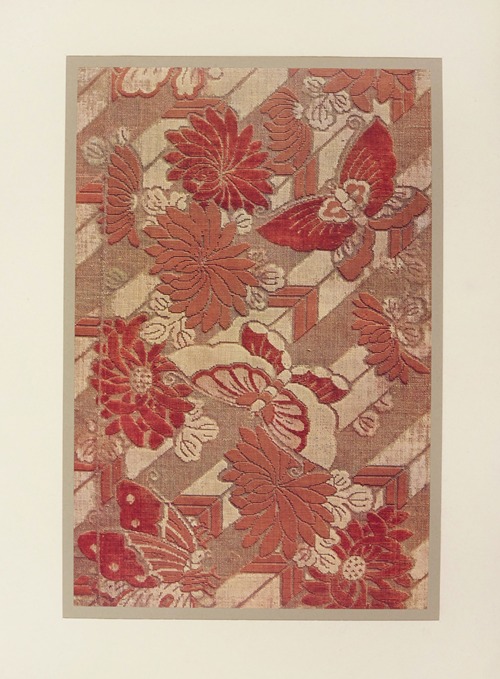 Papillons et chrysanthèmes