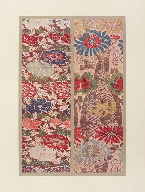 Chrysanthèmes ; pivoines