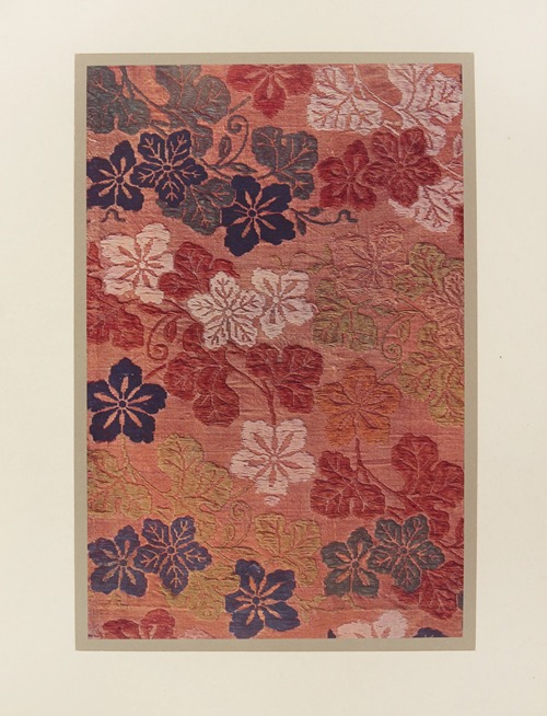 Fleurs et feuilles de courge