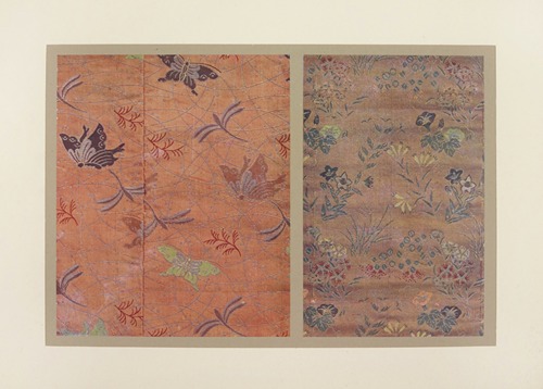 Papillons et fleurs diverses