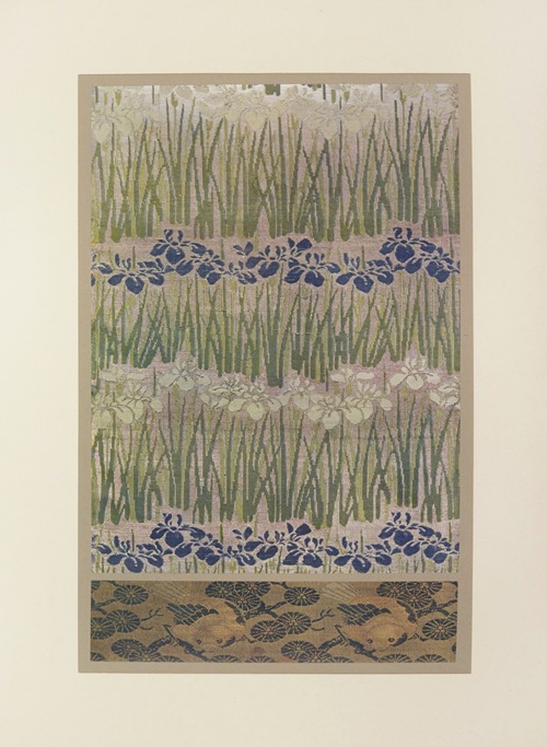 Iris bleus et blancs ; oiseaux dans les prés