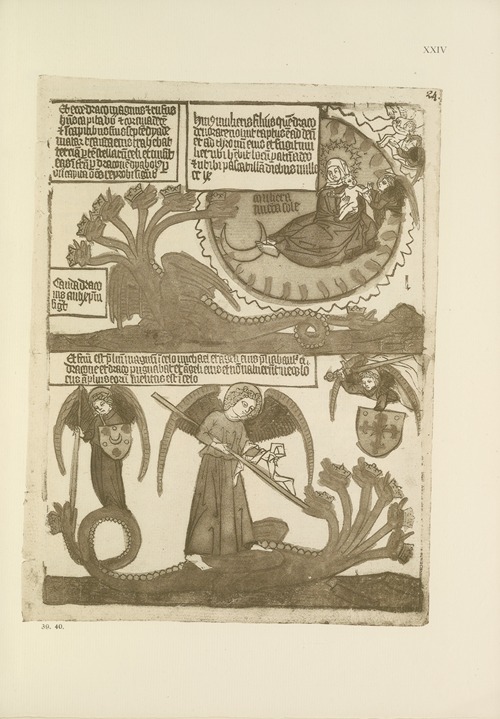 Die Apokalypse Pl.24
