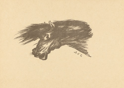 Head of horse