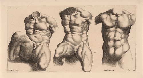 Three male torsos