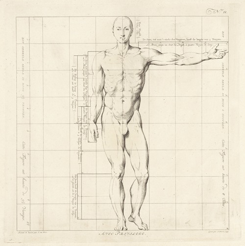 Proportional study of a man’s body