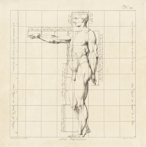 Proportional study of a man’s body